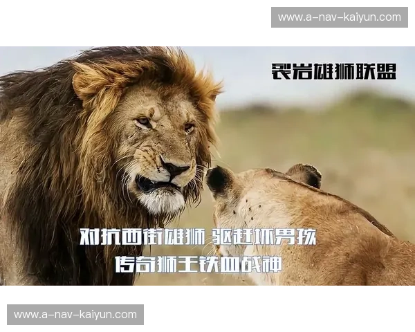 铁血雄狮对阵织工精神：米尔沃尔与北安普顿的灵魂激战